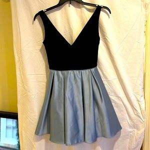 Betsey and Adam above the knee satin skirt dress